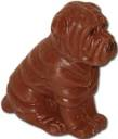 chocolate dog